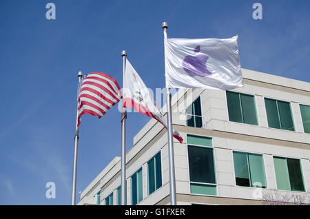 Apple-Hauptquartier im Silicon valley Stockfoto