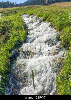 ungehemmt Gebirgsbach der klare und saubere Wasser sprudeln Stockfoto