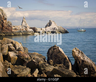 GB - DEVON: Ansteys Bucht in der Nähe von Torquay Stockfoto