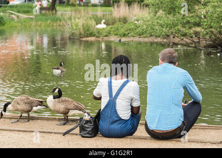 Ein junges Paar mit gemischter Rasse, das Enten beim Schwimmen auf einem zusieht Teich Stockfoto