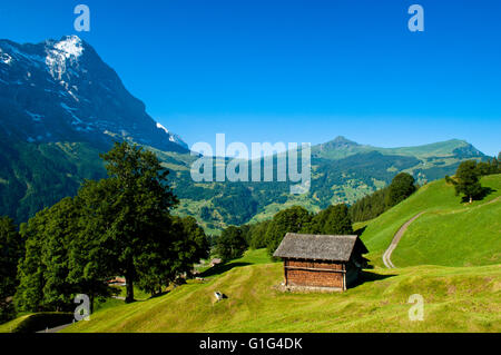 Schweizer Alpen - Schnee bedeckt Berge und tiefe Täler, atemberaubende Aussicht, atemberaubende panorama Stockfoto