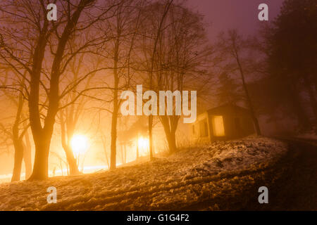 Schönes warmes Licht und Schatten im Sonnenuntergang mit Bäumen, Winter-Szene in Griechenland Stockfoto