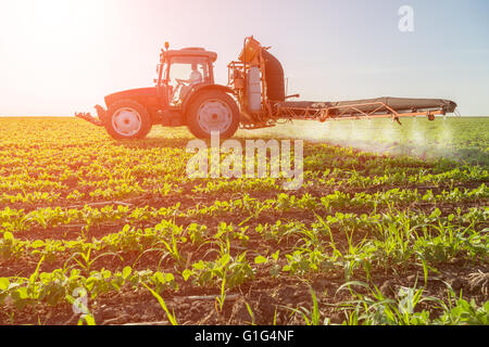 Traktor Sojabohnenanbau Spritzen Stockfoto