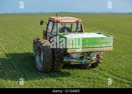 Landwirt Weizen mit Stickstoff, Phosphor, Kalium-Dnger dngen  Stockfotografie - Alamy