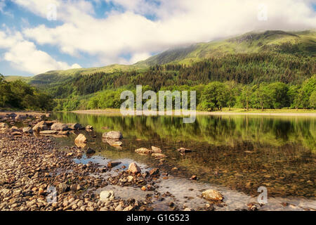 Baum-Reflexionen über Loch Lubnaig, Schottland Stockfoto