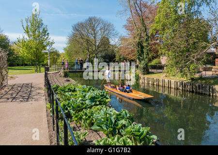 Punt Ausflug Bootsfahrt Tour Fluss Stour Canterbury Kent Stockfoto