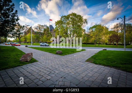 Sich überschneidenden Gehwege an der University of Toronto in Toronto, Ontario. Stockfoto