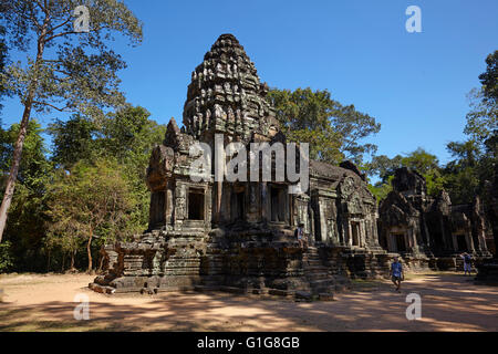 Ta Prohm Tempel, Angkor, Siem Reap, Kambodscha Stockfoto