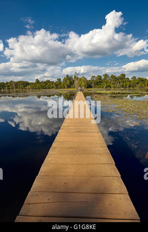 Fußgängerbrücke über den Sumpf, Neak Pean Tempel, Angkor, Siem Reap, Kambodscha Stockfoto