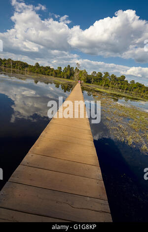 Fußgängerbrücke über den Sumpf, Neak Pean Tempel, Angkor, Siem Reap, Kambodscha Stockfoto