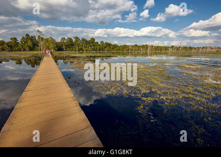 Fußgängerbrücke über den Sumpf, Neak Pean Tempel, Angkor, Siem Reap, Kambodscha Stockfoto