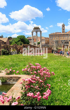 Forum, Rom: Haus der Vestalinnen (Atrium Vestae) und Gärten, mit hübschen rosa Rosen an einem sonnigen Tag mit blauem Himmel Stockfoto