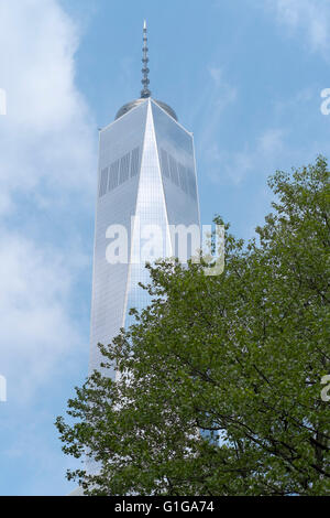 Stimmungsvolle Bild des World Trade Centre mit Teil eines Baumes vor Stockfoto