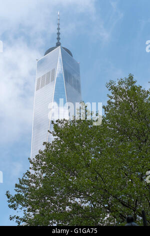 Stimmungsvolle Bild des World Trade Centre mit Teil eines Baumes vor Stockfoto