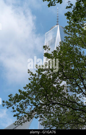 Stimmungsvolle Bild des World Trade Centre mit Teil eines Baumes vor Stockfoto