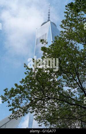 Stimmungsvolle Bild des World Trade Centre mit Teil eines Baumes vor Stockfoto