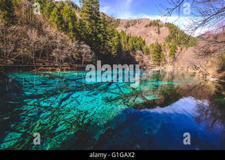 Pfau-See oder 5 Farbe See in Jiuzhaigou Nationalpark, China Stockfoto