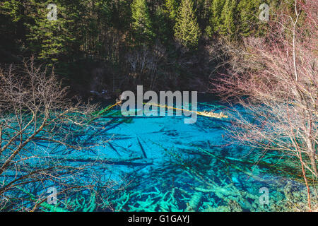 Pfau-See oder 5 Farbe See in Jiuzhaigou Nationalpark, China Stockfoto