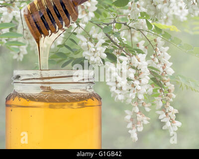 Akazienhonig aus Lunigiana, Norden der Toskana, Italien. Luxuriöse Honig, meist Bio. Stockfoto