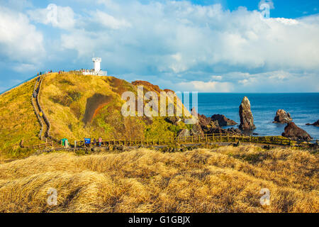 Ansicht des Seopjikoji Berges Insel Jeju, Südkorea. Stockfoto