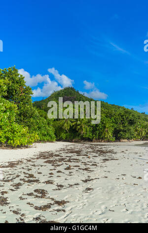 Schöne Strände und Natur der Seychellen Stockfoto