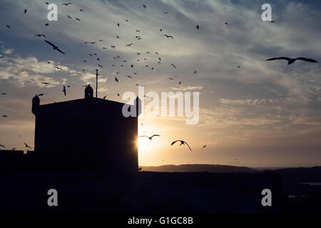 Legendären alten portugiesischen Turm bei Sonnenuntergang, Hafen von Essaouira, atlantische Küste von Marokko Stockfoto