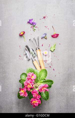 Gartengeräte mit Blumen auf grauem Stein konkreten Hintergrund, Top anzeigen verfassen Stockfoto