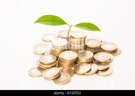 Geld-Konzept. Pflanze wächst auf Münzen. Stockfoto