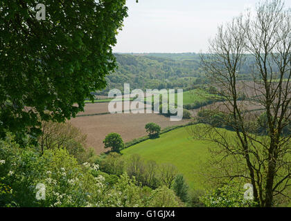 Torrington historische Marktstadt und Bürgerkrieg Website North Devon Blick vom Burgberg Stockfoto