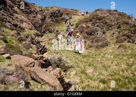 Gruppe der Wanderer wandern nach unten von Yr Aran durch einen Strom durch Cwm Y Bleiddaid Tal in Snowdonia-Nationalpark. Wales UK Stockfoto