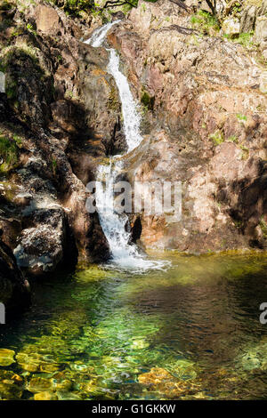 Afon y Cwm Wasserfall und kristallklare Wasser des Pools in Snowdonia-Nationalpark. Craflwyn, Nantgwynant, Gwynedd, Wales, UK Stockfoto