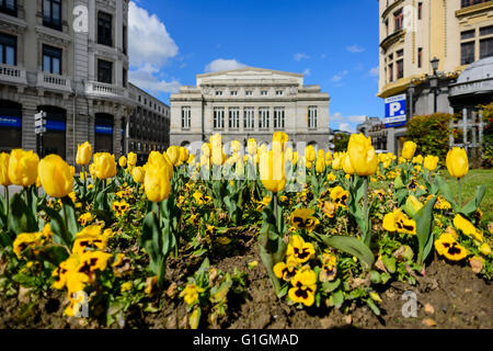 Oviedo Stockfoto