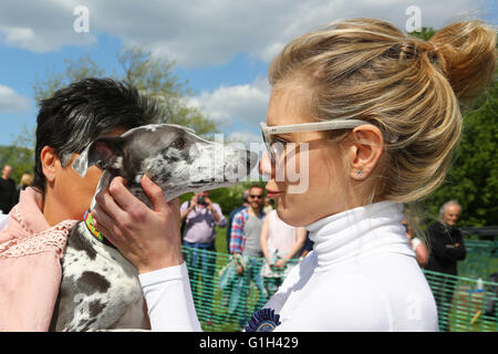 Rachel Riley, TV-Moderatorin auf Countdown mit Luna der Whippet Greyhound Kreuz, der Gewinner der Kategorie beste Rettung Hund, während die Beurteilung die alle Hunde Angelegenheit große Hampstead Barkoff Charity Hundeausstellung in Hampstead Heath in London, England. Rachel sagte "Ich habe für die kostenlose Streicheleinheiten kommen". Die Veranstaltung lief durch alle Hunde-Materie, die Rettung und Rehome Hunde in London. Bildnachweis: Paul Brown/Alamy Live-Nachrichten Stockfoto