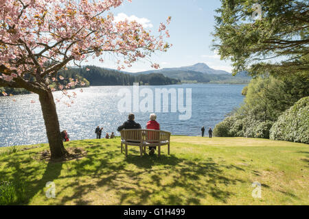 Aberfoyle, Scotland, UK - 15. Mai 2016: UK Wetter: einem schönen hellen Frühlingstag und einen atemberaubenden Blick auf Ben Lomond und Loch Ard begrüßt Besucher Dun Dubh - ein Garten heute unter Schottlands Gärten geöffnet.  Schottlands Gärten (The National Gardens Scheme Schwester Organisation) ist ein eingetragener Verein, die Mittel für die würdige Wohltätigkeitsorganisationen auslöst durch die Öffnung der Gärten von Gartenbau Interesse aller Größen in ganz Schottland an die Öffentlichkeit zu erleichtern. Bildnachweis: Kay Roxby/Alamy Live-Nachrichten Stockfoto