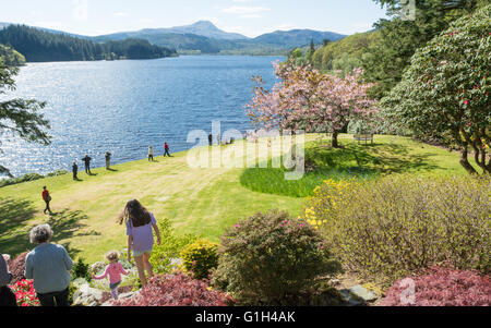 Aberfoyle, Scotland, UK - 15. Mai 2016: UK Wetter: einem schönen hellen Frühlingstag und einen atemberaubenden Blick auf Ben Lomond und Loch Ard begrüßt Besucher Dun Dubh - ein Garten heute unter Schottlands Gärten geöffnet.  Schottlands Gärten (The National Gardens Scheme Schwester Organisation) ist ein eingetragener Verein, die Mittel für die würdige Wohltätigkeitsorganisationen auslöst durch die Öffnung der Gärten von Gartenbau Interesse aller Größen in ganz Schottland an die Öffentlichkeit zu erleichtern. Bildnachweis: Kay Roxby/Alamy Live-Nachrichten Stockfoto