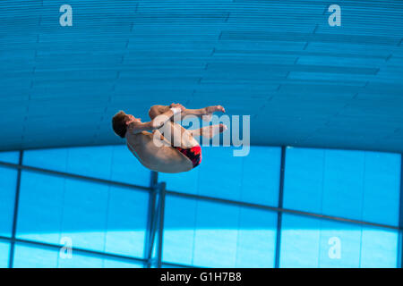 Aquatics Centre, Olympic Park, London, Großbritannien. Mai 2016. Victor Minibaev während seiner 3. Runde Reverse 3-1/2 Saltos Tuck Dive. Brit Tom Daley gewinnt Gold mit 570.50 Punkten, vor Viktor Minibaev aus Russland mit 424.60 Punkten und einem zweiten Russen, Nikita Shleikher mit 480.90 Punkten, Europameisterschaften im Tauchen, len-Europameisterschaften im Wassersport, London. Kredit: Imageplotter Nachrichten und Sport/Alamy Live Nachrichten Stockfoto