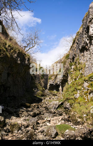 Steuerungen Gill ohne Anzeichen von der spektralen Hund Yorkshire Dales National Park, England, Appletreewick, Skyreholme, "Barguest" Stockfoto