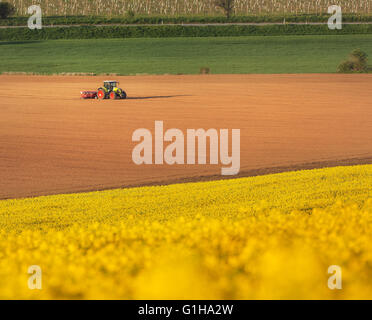 Agrarlandschaft mit Traktor pflügen ein gestreiften braunen Feld in Südmähren bei Sonnenuntergang, schöne Aussicht auf die Hügellandschaft Stockfoto