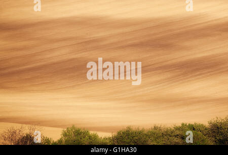 Schönes Konzept Landschaft mit gestreiften Felder von Süd-Mähren bei Sonnenuntergang, abstrakten Hintergrund Stockfoto