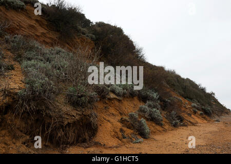 Auswirkungen der Küstenerosion, Bawdsey Fähre, Suffolk, UK. Stockfoto