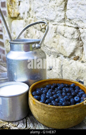 Frühstück auf dem Bauernhof - frische Bio-Kuhmilch und Heidelbeere auf Stein und Holz Hintergrund Stockfoto