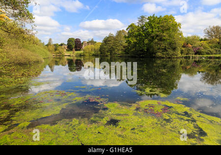 Newstead Abbey, mit dem Garten See im Vordergrund. Stockfoto