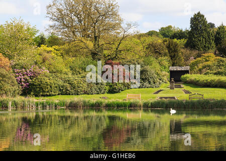 Newstead Abbey Garden Lake und Gärten hinter. Stockfoto