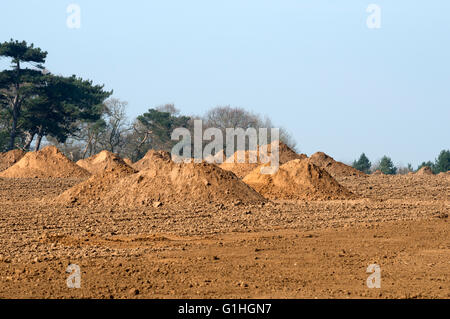 Archäologische Ausgrabung Bawdsey Suffolk UK Stockfoto