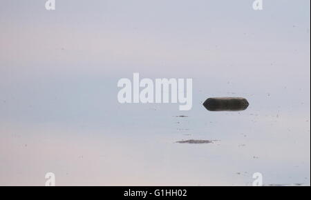 Stein in der Reflexion Wasser liegen. Stockfoto