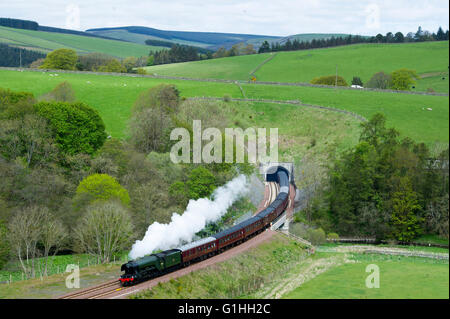 15.05.2016. Flying Scotsman beendet Bowshank Tunnels unterwegs von Edinburgh Waverley, Tweedbank, Galashiels in der schottischen Stockfoto