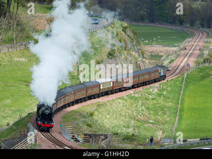 Die Flying Scotsman geht Galabank auf Route von Edinburgh Waverley, Tweedbank, Galashiels, Scottish Borders 15. Mai 2016. Stockfoto