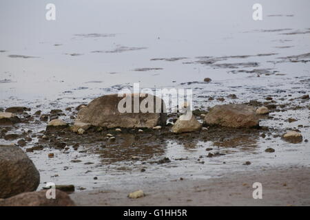 Steinen liegt im Wasser spiegelt. Stockfoto