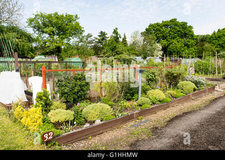 Gepflegter Schrebergarten im Frühling. Ein Grundstück für Familien wachsen Gemüse für den Eigenbedarf. Stockfoto