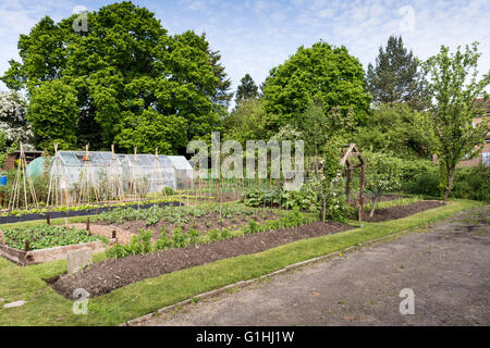 Gepflegter Schrebergarten im Frühling. Ein Grundstück für Familien wachsen Gemüse für den Eigenbedarf. Stockfoto